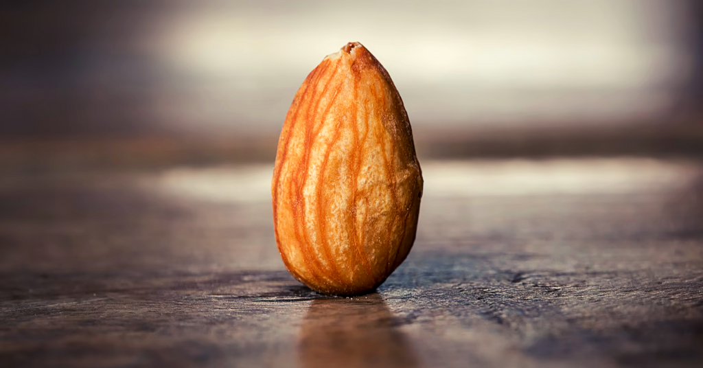 Almonds - Ingredient Spotlight