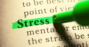 Stressed? Natural Remedies for Stress & Anxiety