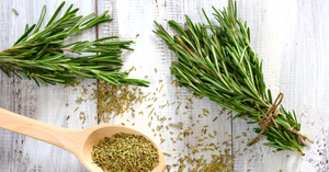 Rosemary - Ingredient Spotlight