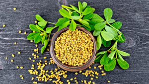 Fenugreek - Ingredient Spotlight